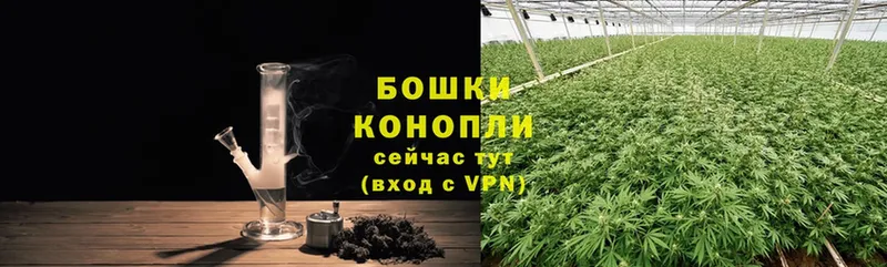 Бошки Шишки SATIVA & INDICA  мориарти как зайти  Верхняя Тура 